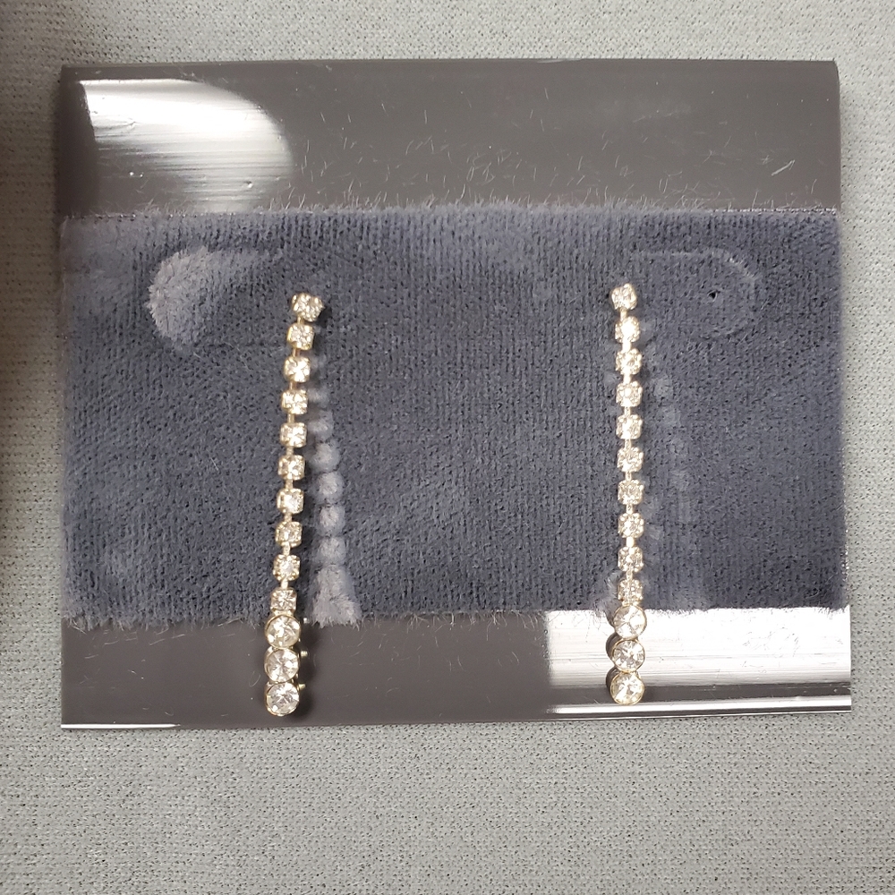 Evening Fashionable Earrings